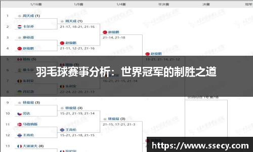 羽毛球赛事分析：世界冠军的制胜之道